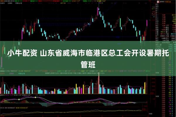 小牛配资 山东省威海市临港区总工会开设暑期托管班